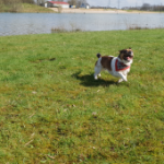 Verlanglijst foto
