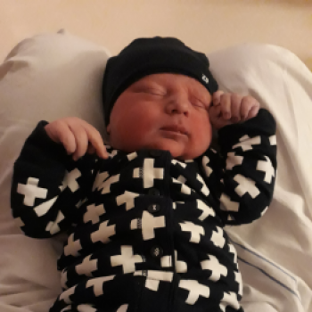 Hoera! IEBE is geboren!