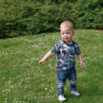 Verlanglijst foto