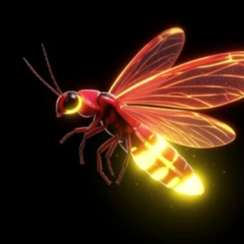 Het Dierenlichtfeest