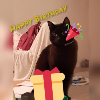 19 april vier ik mijn verjaardag